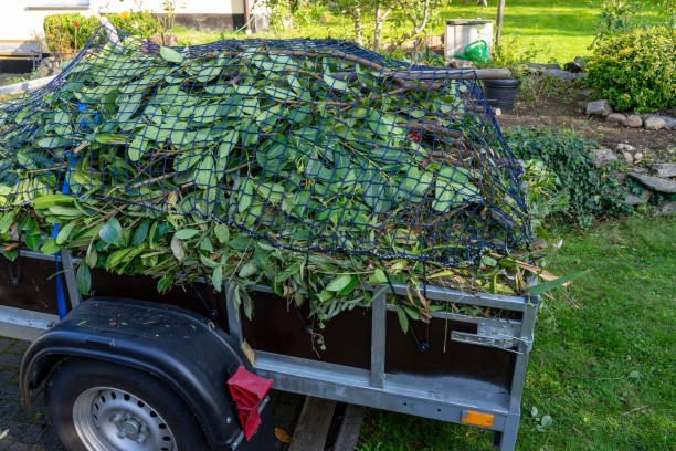 Same-Day Junk Removal Services in Versailles, PA